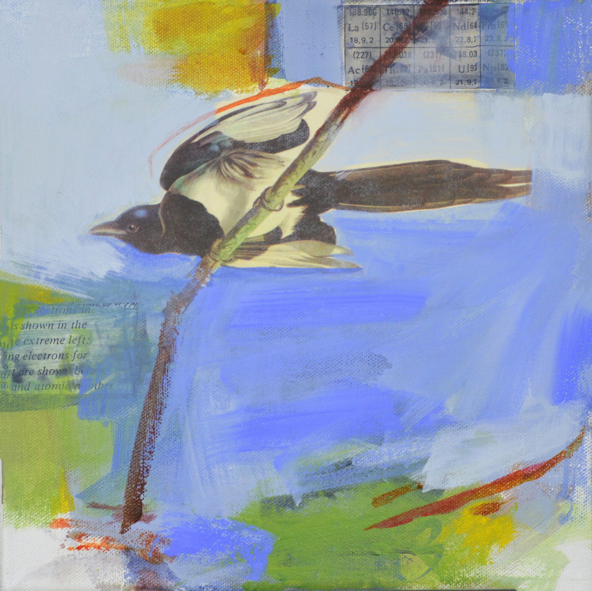 Perch, painting by Julia Rymer